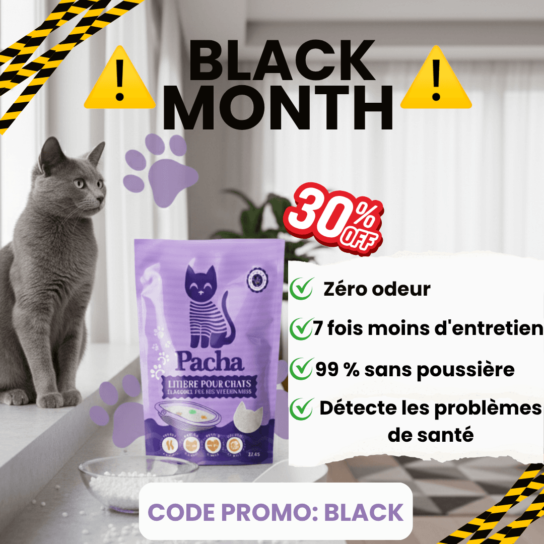 535 v3  1x1 A0-Broad (Discount) Img